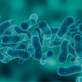 Analisi delle acque - Legionella
